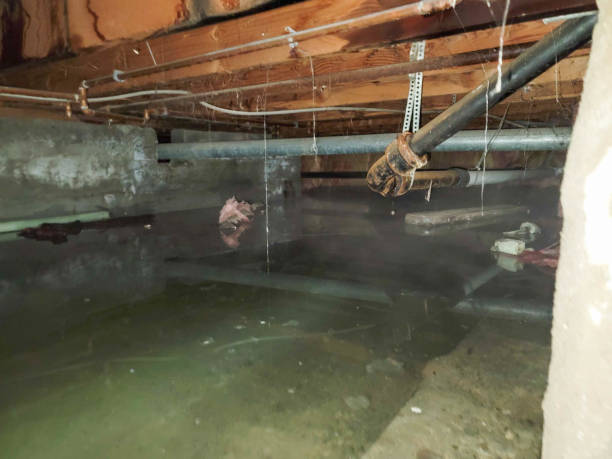 Best Flooded house restoration  in Carle Place, NY