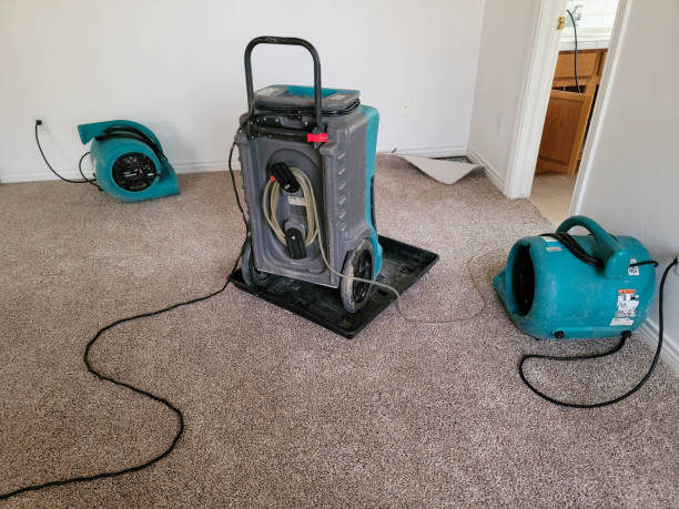 Best Emergency water damage restoration  in Carle Place, NY