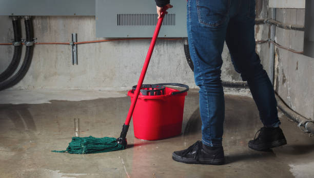 Best Water damage restoration process  in Carle Place, NY
