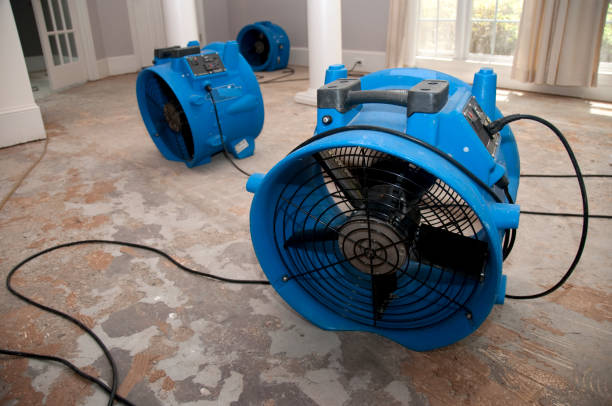 Best Local water damage restoration  in Carle Place, NY