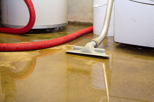 Best Basement water damage restoration  in Carle Place, NY
