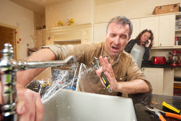Best Water damage restoration near me  in Carle Place, NY